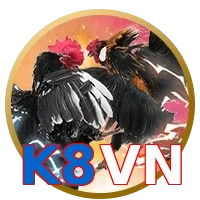 K8VN