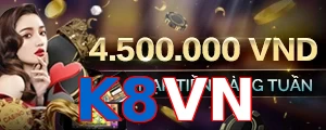 K8VN