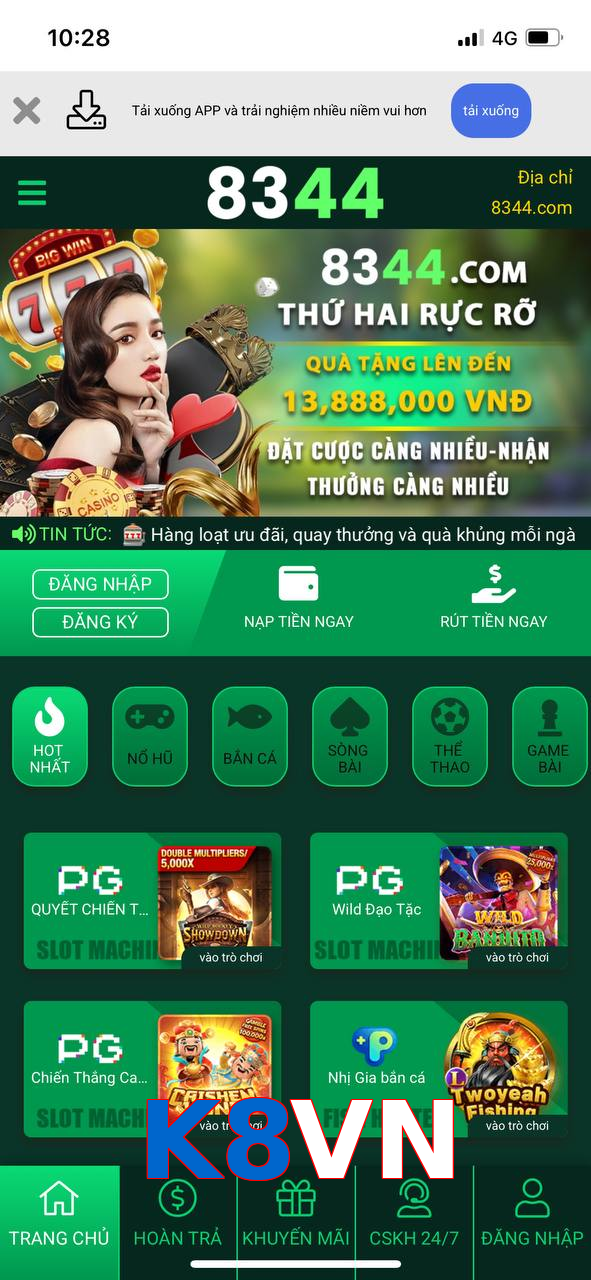 K8VN