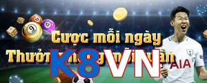 K8VN